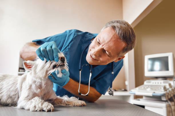 Emergency Dentist Open Today in OK